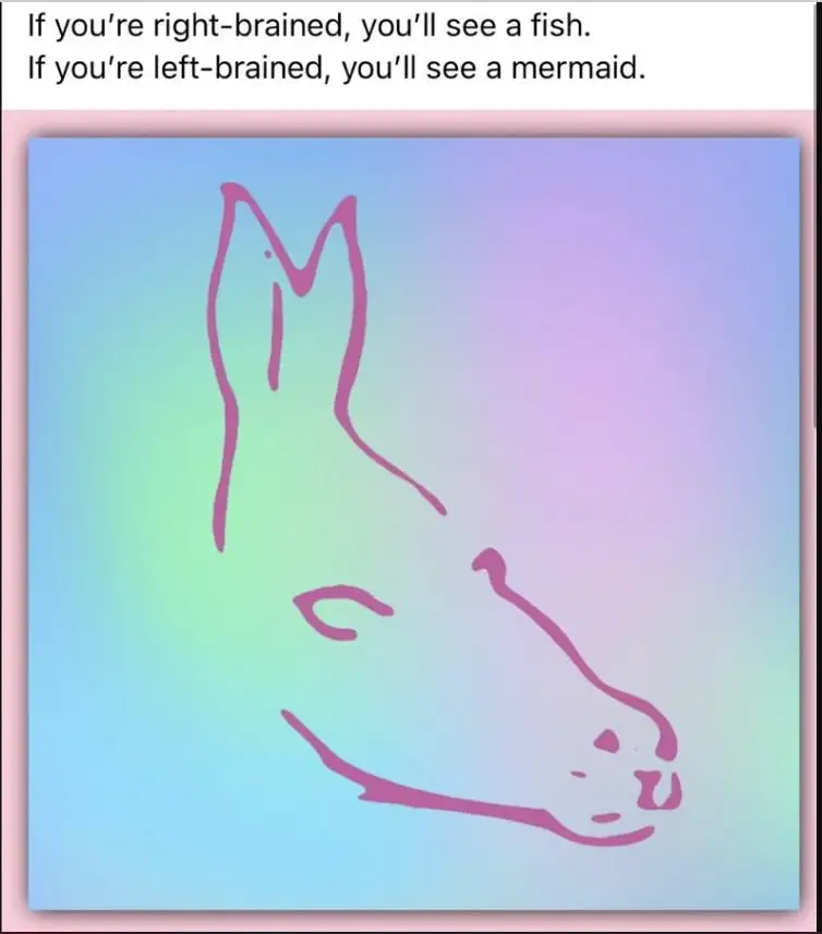 right or left brained