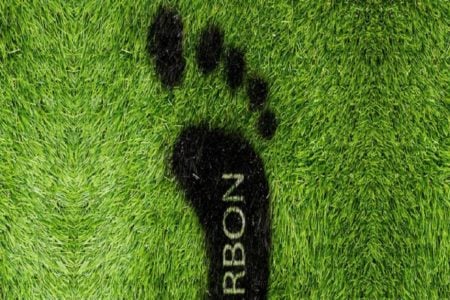 carbon footprint