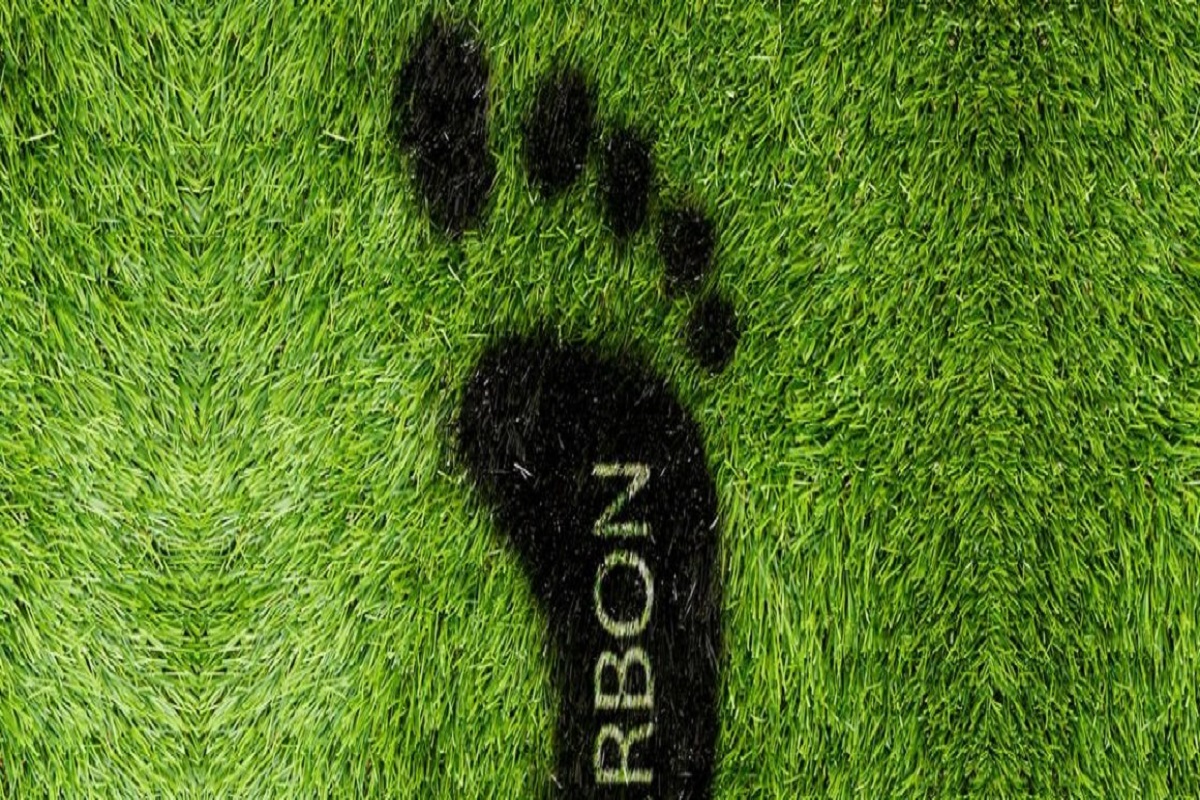 Enjoy the outdoors while reducing your carbon footprint!