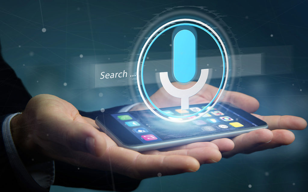 voice search feature