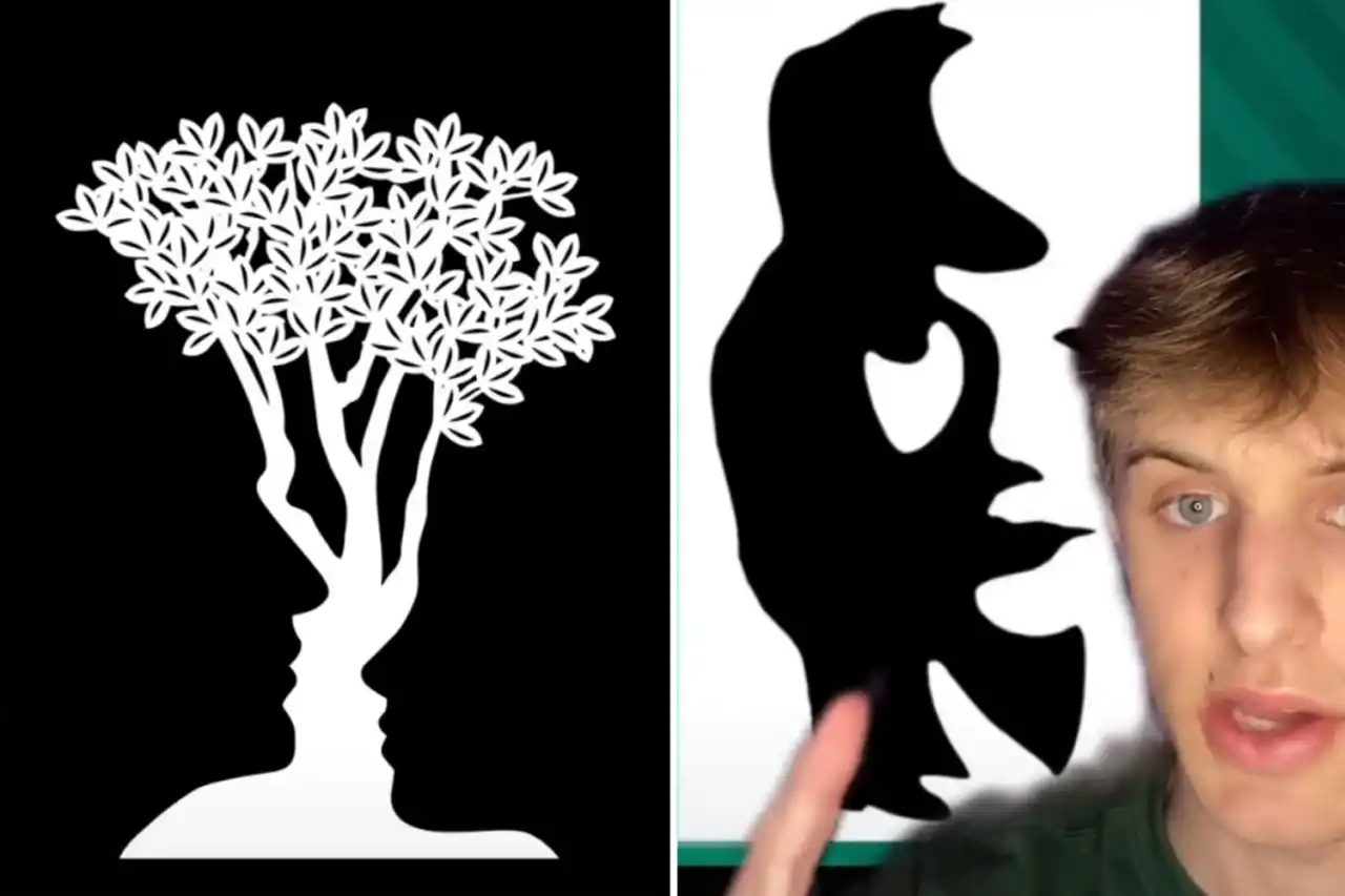 Optical Illusion