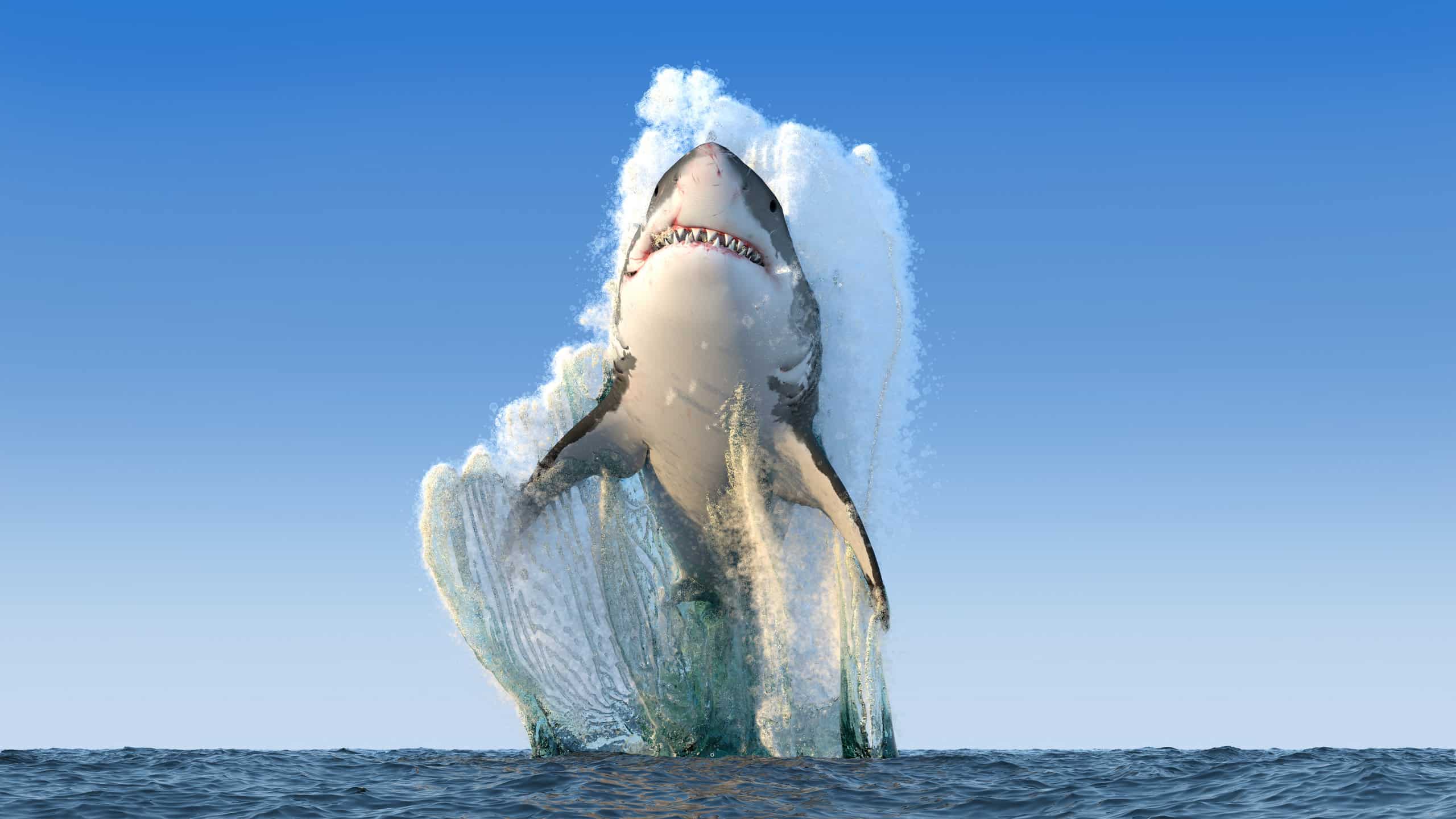 Speed and Power: The Amazing Abilities of Great White Sharks