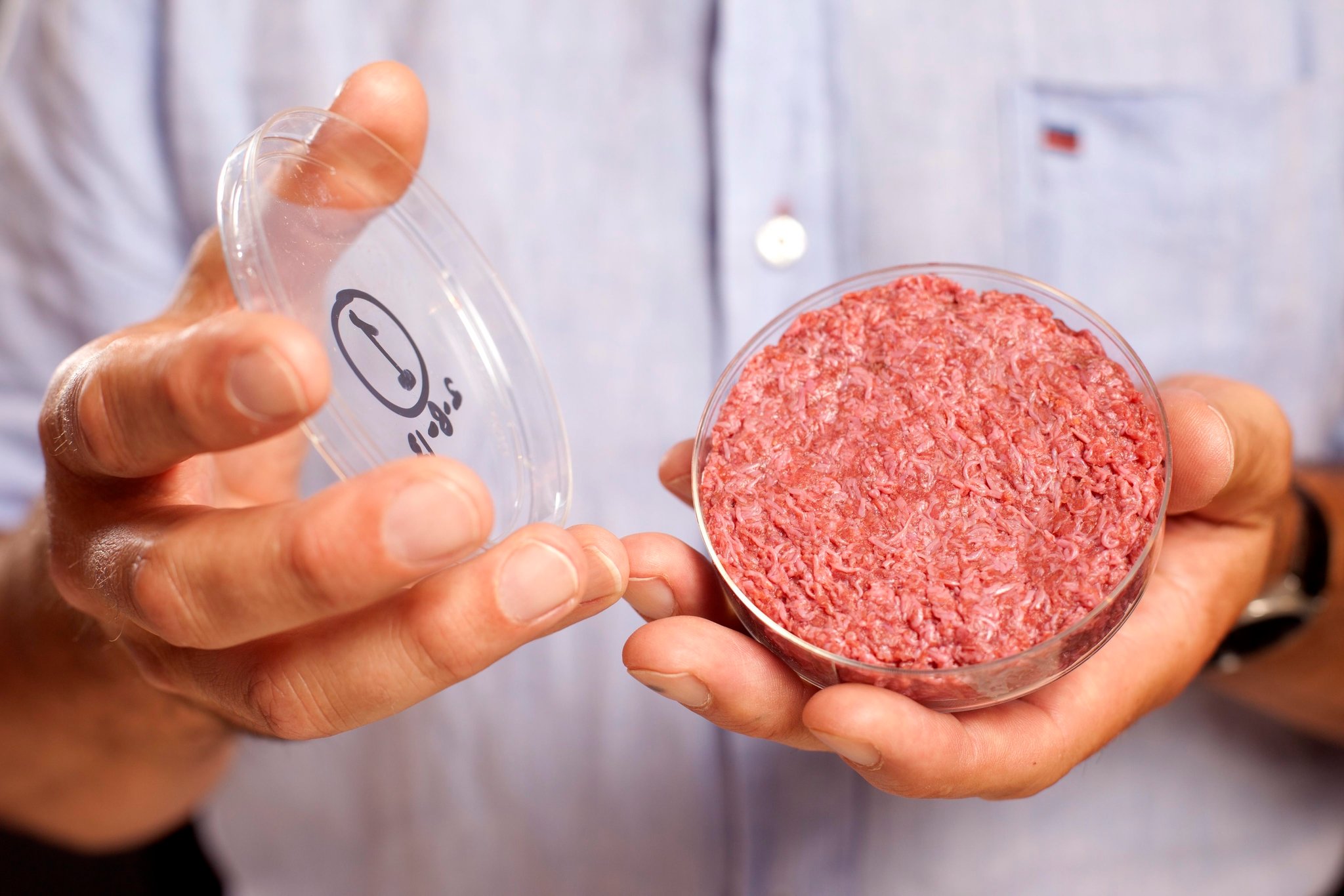 Food Tech Future: Lab-Grown Meat, Vertical Farms, and the Transformation of Our Plates in 2024