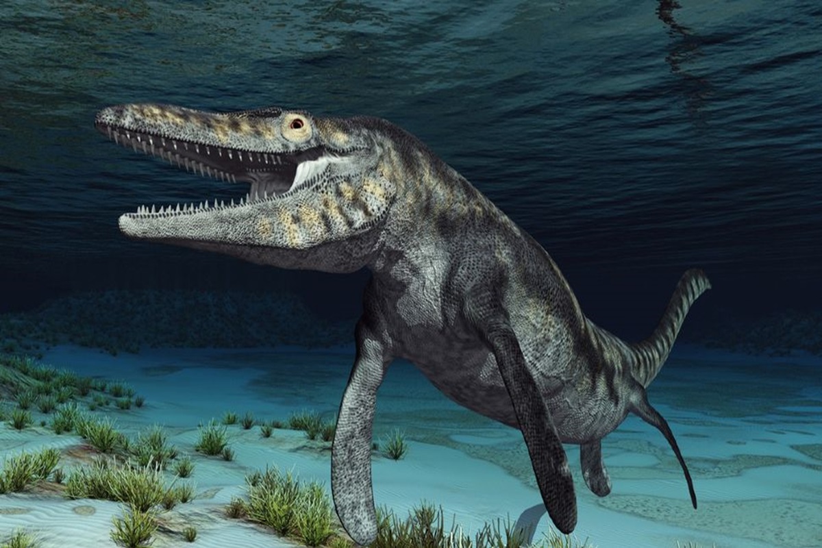 72-million-year-old Ancient Sea Monster “Blue Dragon” Found in Japan!