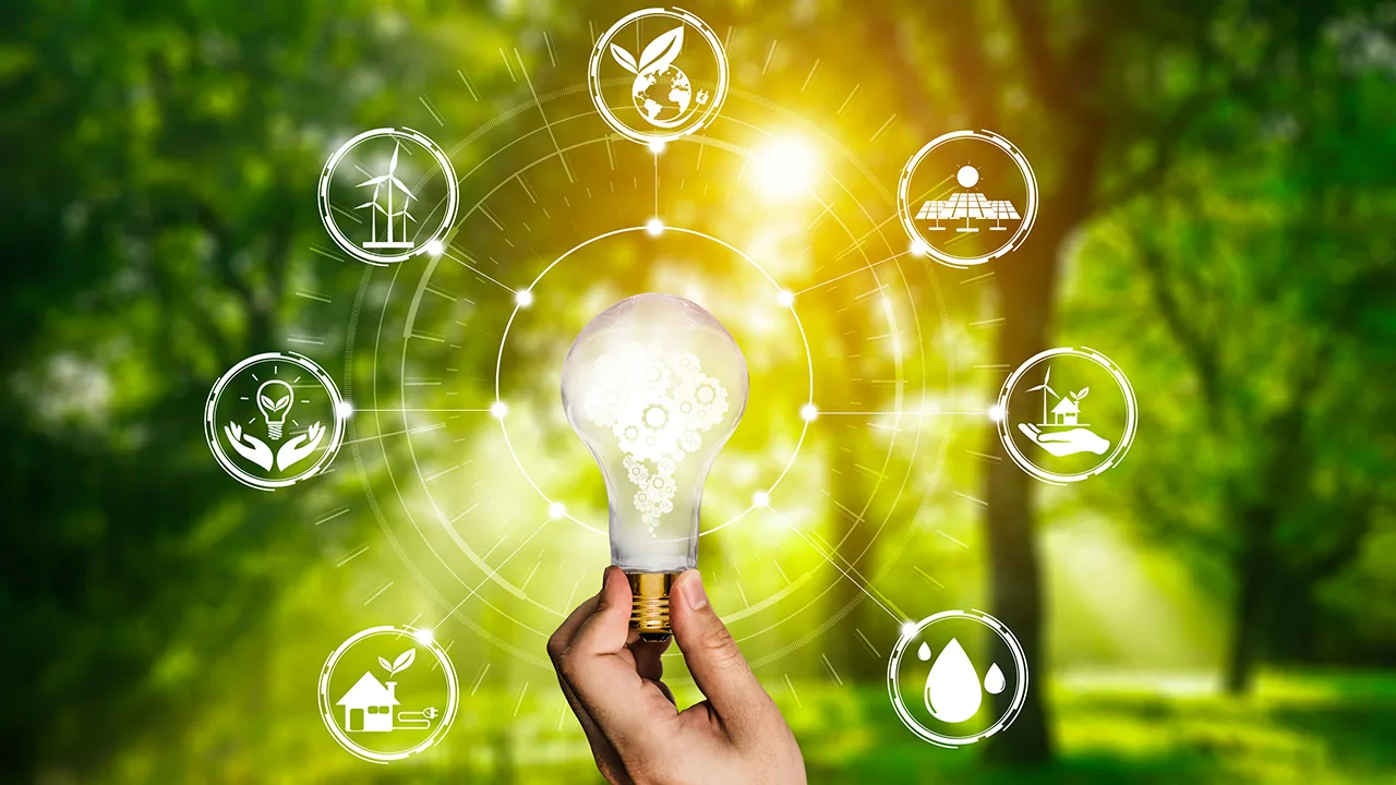 Jobs in Renewable Energy and Sustainability in 2024 and How to Get There