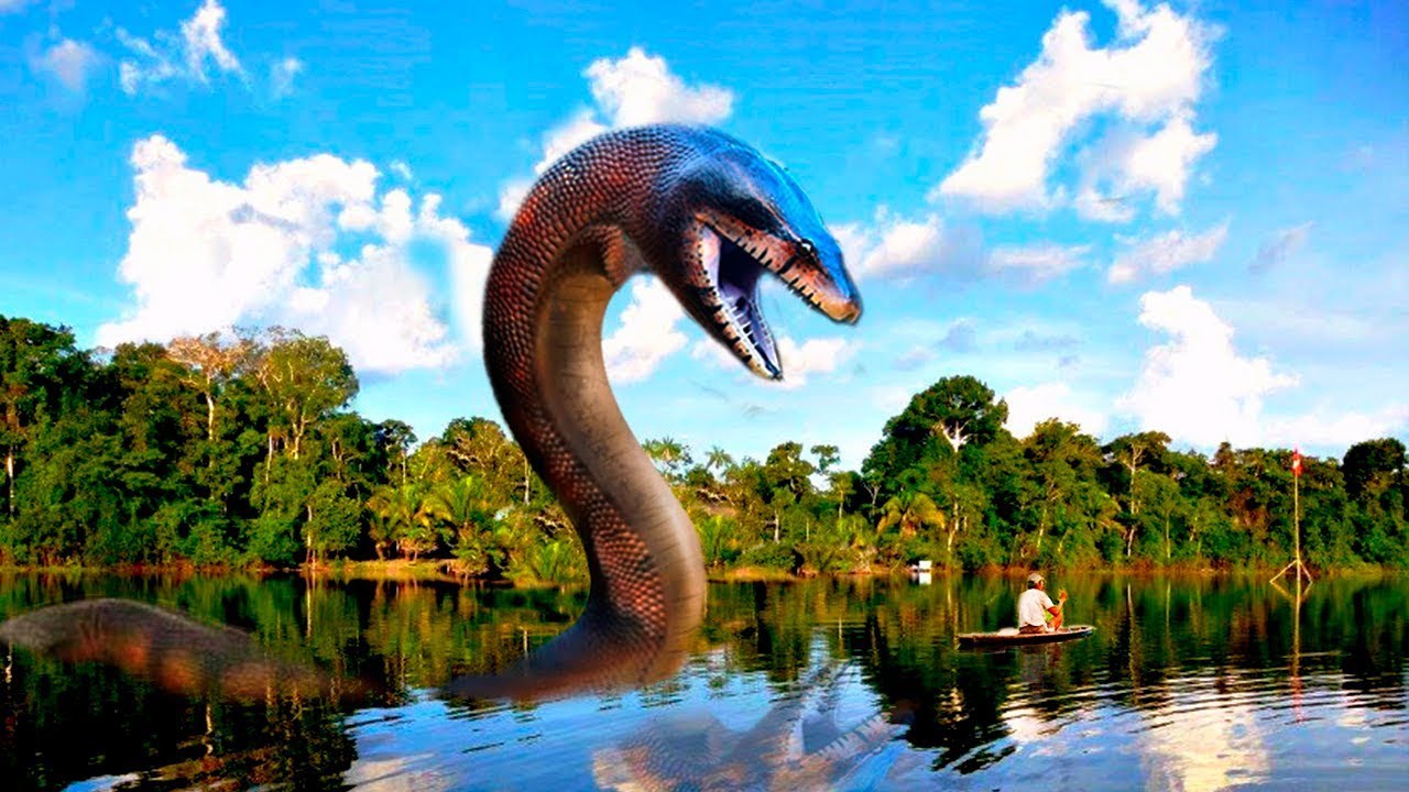 From Eldorado to Hidden Tribes: Decoding the Secrets of the Amazon Rainforest