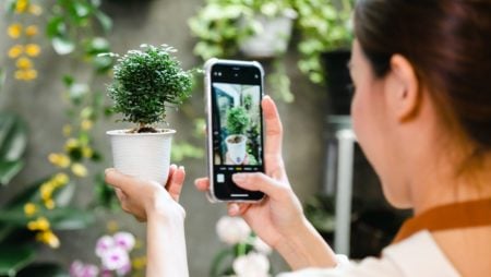 plant identification app