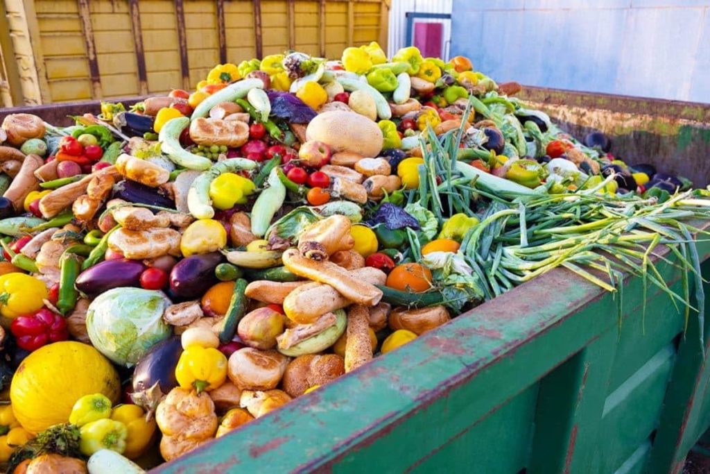 Food Waste