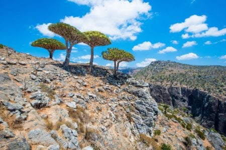 Socotra