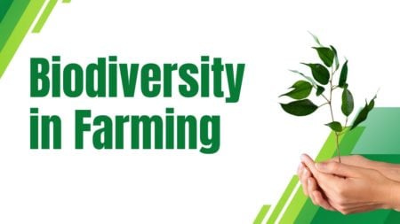 Biodiversity in Farming