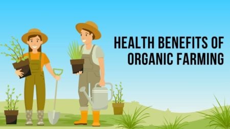 Health Benefits of Organic Farming