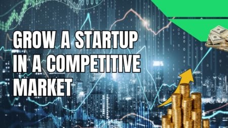 Grow a Startup in a Competitive Market