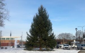 Dearborn Heights Christmas tree