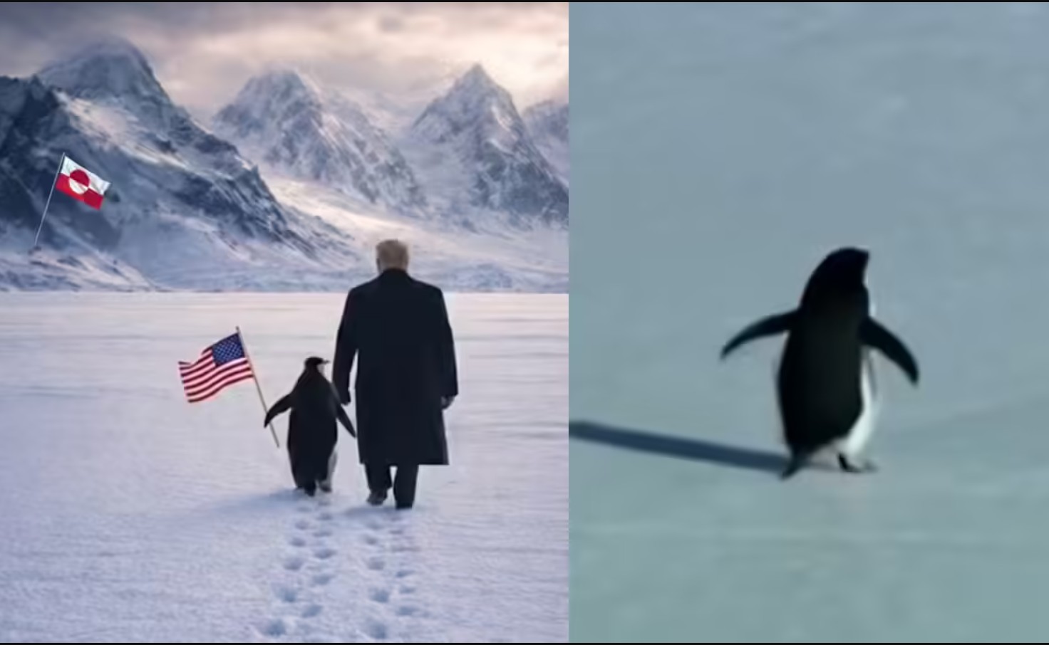 nihilist penguin meme